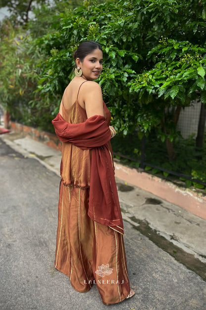 Falak - Brown-Gold Sharara Set