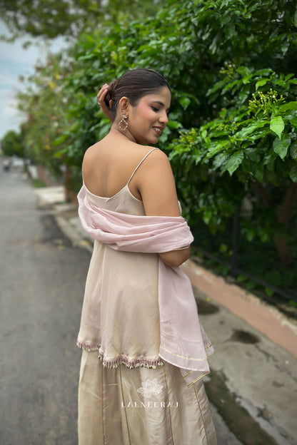 Falak - Blush Pink Sharara Set